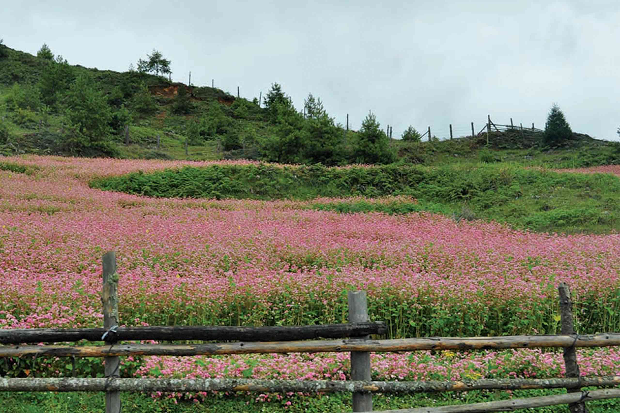 bumthang view2