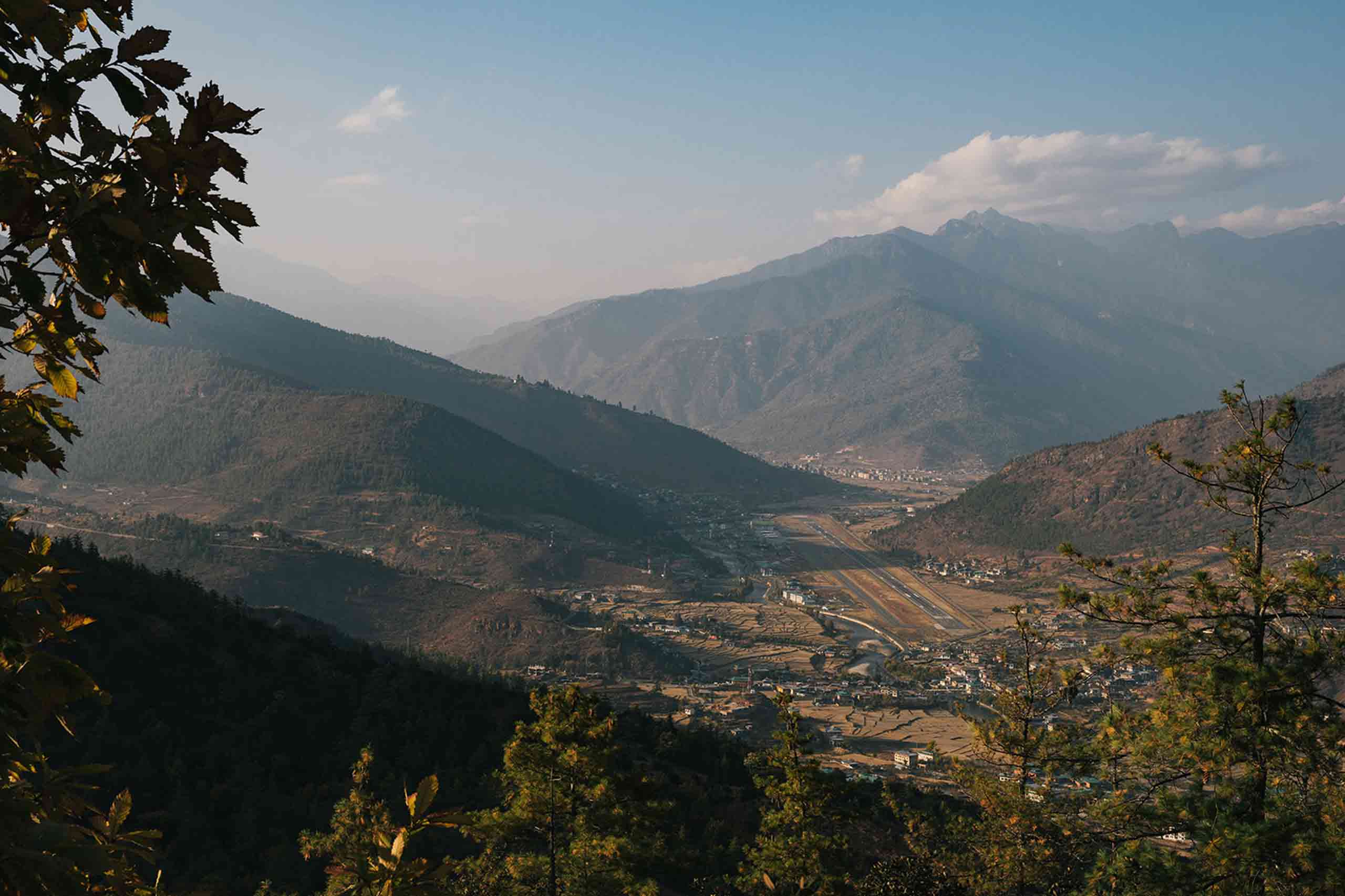 paro1